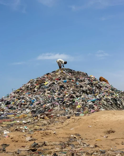 pexels-achor-david-926249768-25851683 (1) (1) (1)